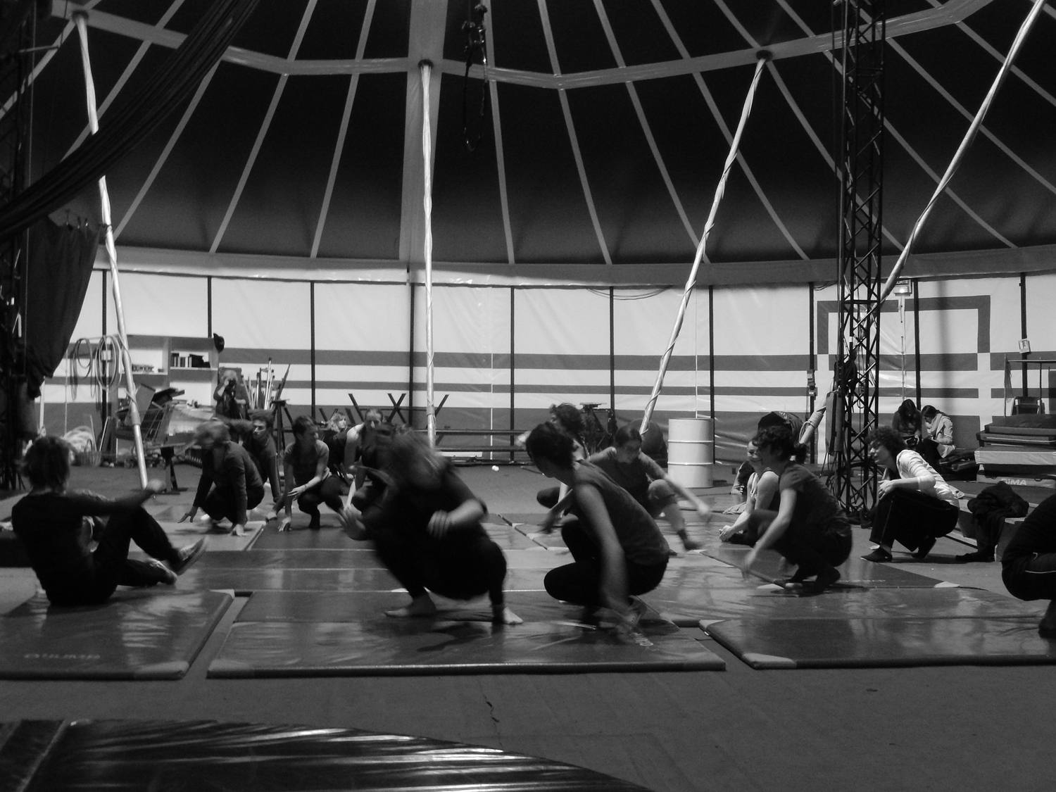 Graine de Cirque