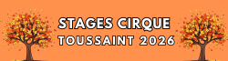 BANDEAU SITE INTERNET - STAGE TOUSSAINT 2026.png
